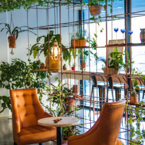 A cafe picture from the Duolingo English Test image description task.